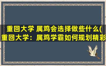 重回大学 属鸡会选择做些什么(重回大学：属鸡学霸如何规划精彩大学生活)